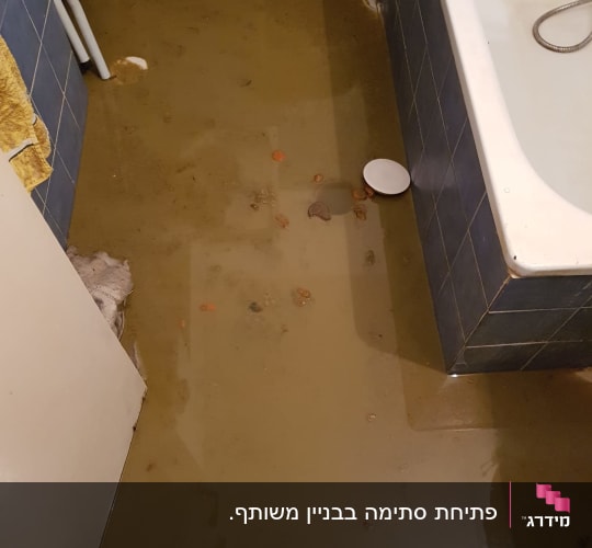 רצפת חדר אמבטיה מוצפת במים עכורים